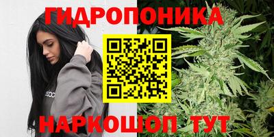 молекула духа Кулебаки