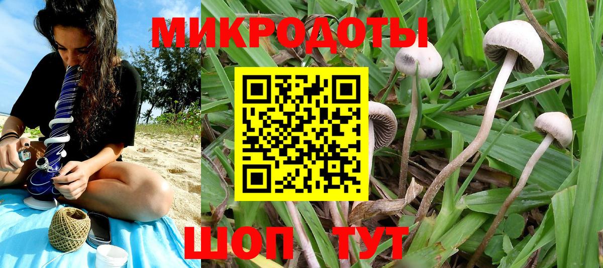 Псилоцибиновые грибы мухоморы Вольск