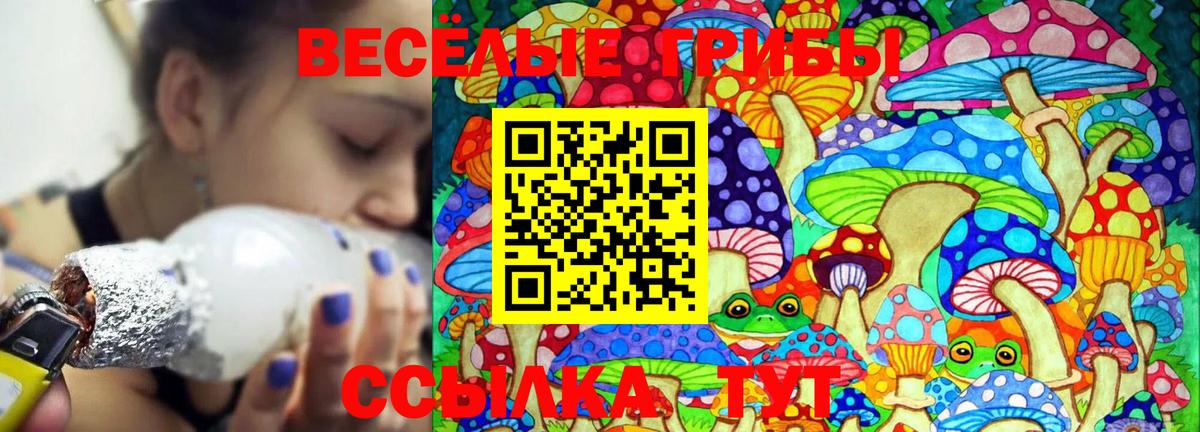 Псилоцибиновые грибы мицелий  магазин продажи наркотиков  Галлюциногенные грибы прущие грибы  Вольск  Вход с VPN 